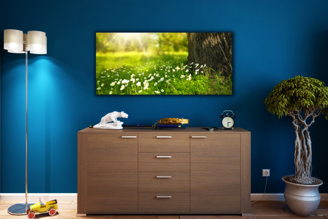 Infrarotheizung, Bildheizung, Bildinfrarotheizung, Motivheizung, Wandheizung, Heizpaneele, Heizelement,